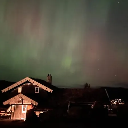 Til Alle Arstider, Fantastisk Utsikt, Badstue, Ski Ski Ut, Tur- Og Bademuligheter, Golf, Fiske Nyaraló Vradal