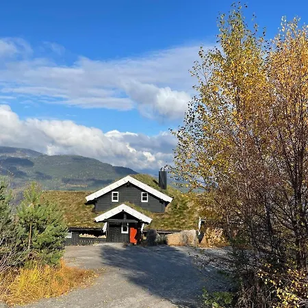 Til Alle Arstider, Fantastisk Utsikt, Badstue, Ski Ski Ut, Tur- Og Bademuligheter, Golf, Fiske Nyaraló Vradal