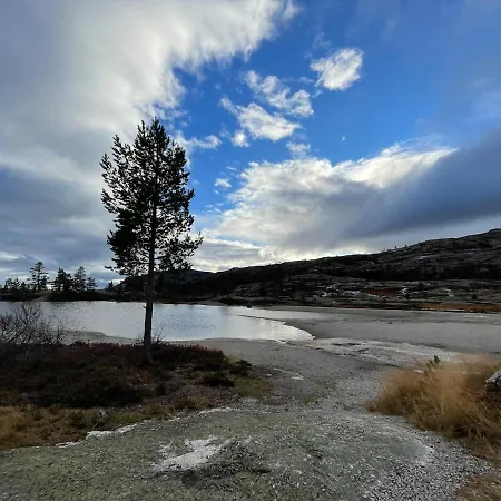 Til Alle Arstider, Fantastisk Utsikt, Badstue, Ski Ski Ut, Tur- Og Bademuligheter, Golf, Fiske Hébergement de vacances Vradal
